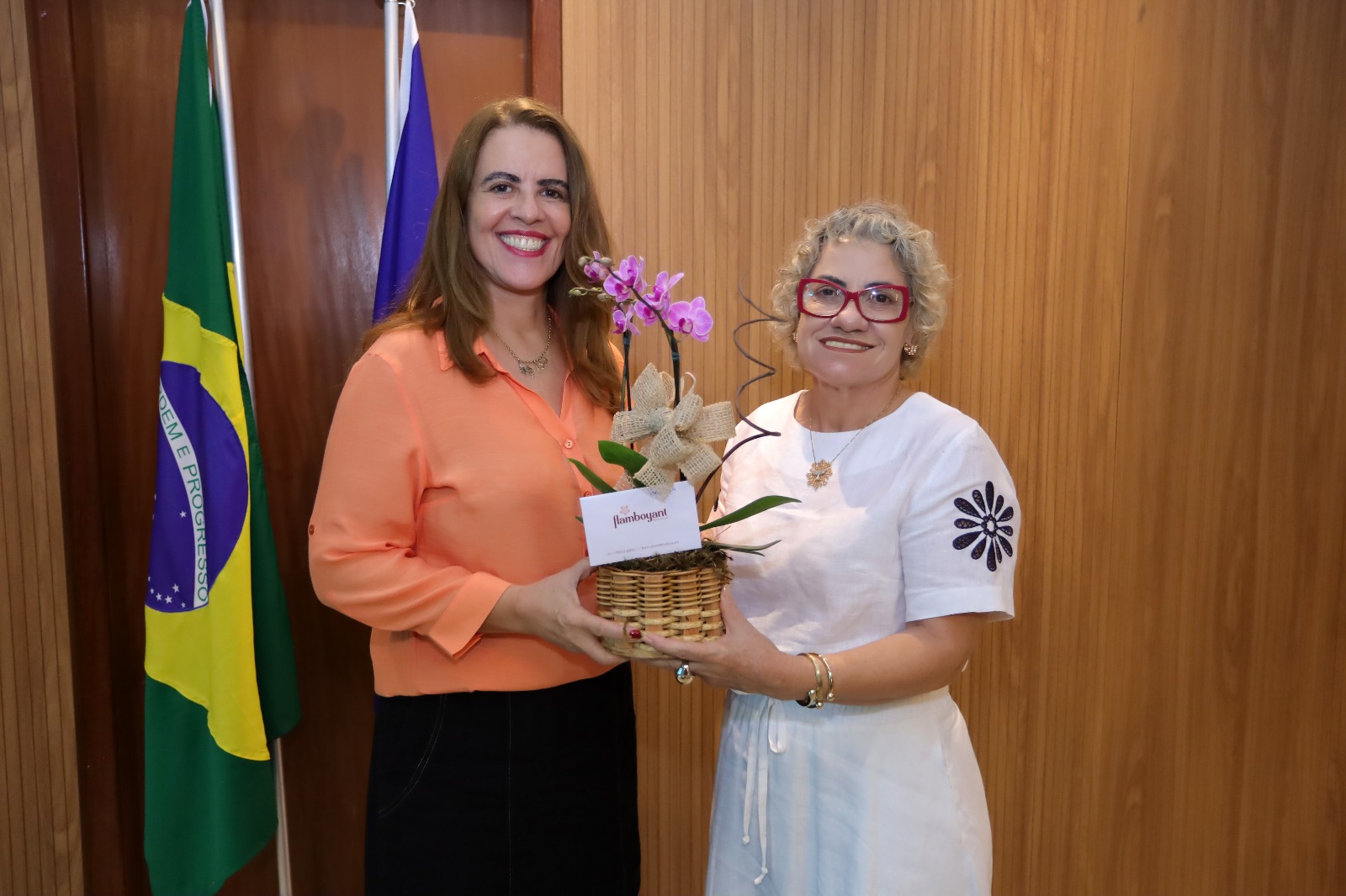 WhatsApp Image 2026 03 12 at 18.56.54